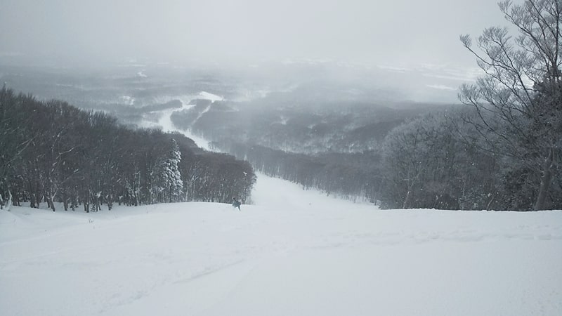 青森スプリング・スキーリゾート　パウダースノー　天気